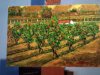Vendemmia